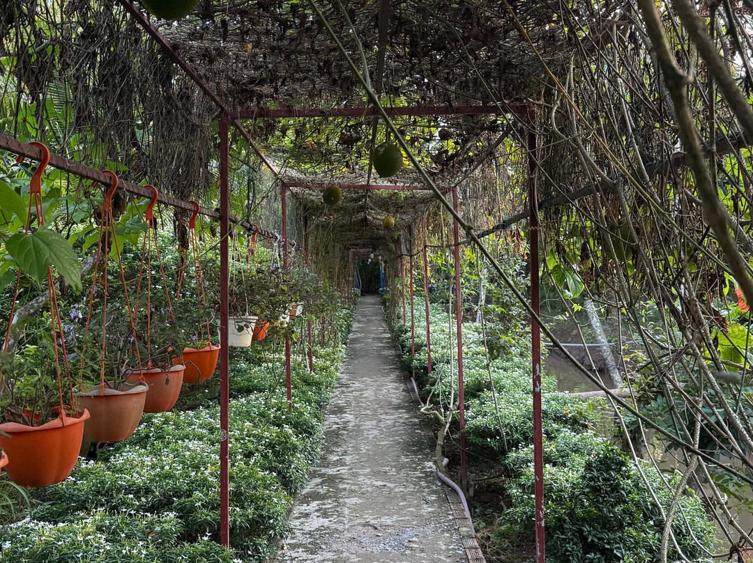 Kim Travel-胡志明市必去景点