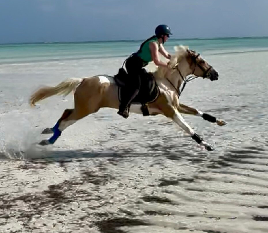 Zanzibar Horse Club-孥归必去景点