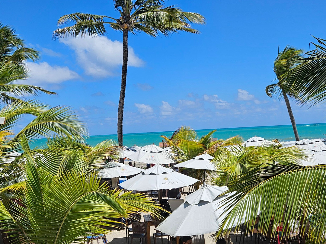 salt receptivo-Maceio必去景点