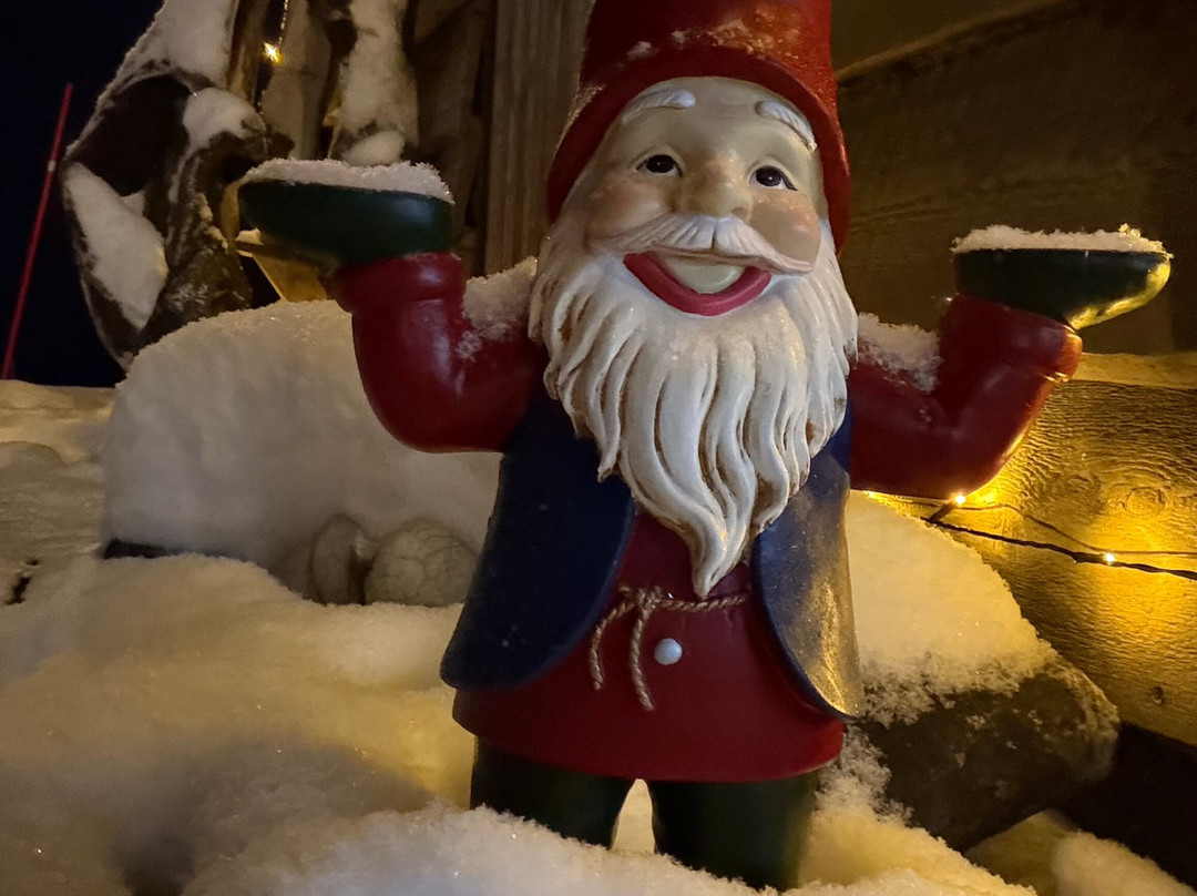 Green Dog Svalbard-朗伊尔城必去景点