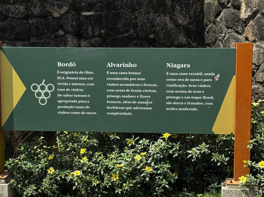 Vinícola XV de Novembro-Sao Roque必去景点