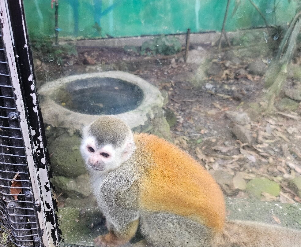 Refugio Animal De Costa Rica-圣安娜必去景点