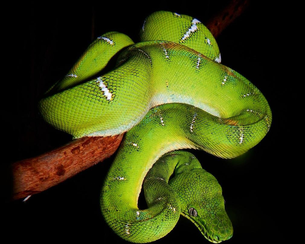 Amazon Tour-莱蒂西亚必去景点