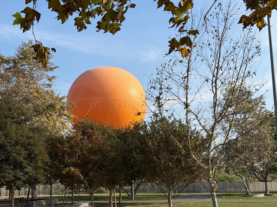 橘子郡公园-尔湾必去景点