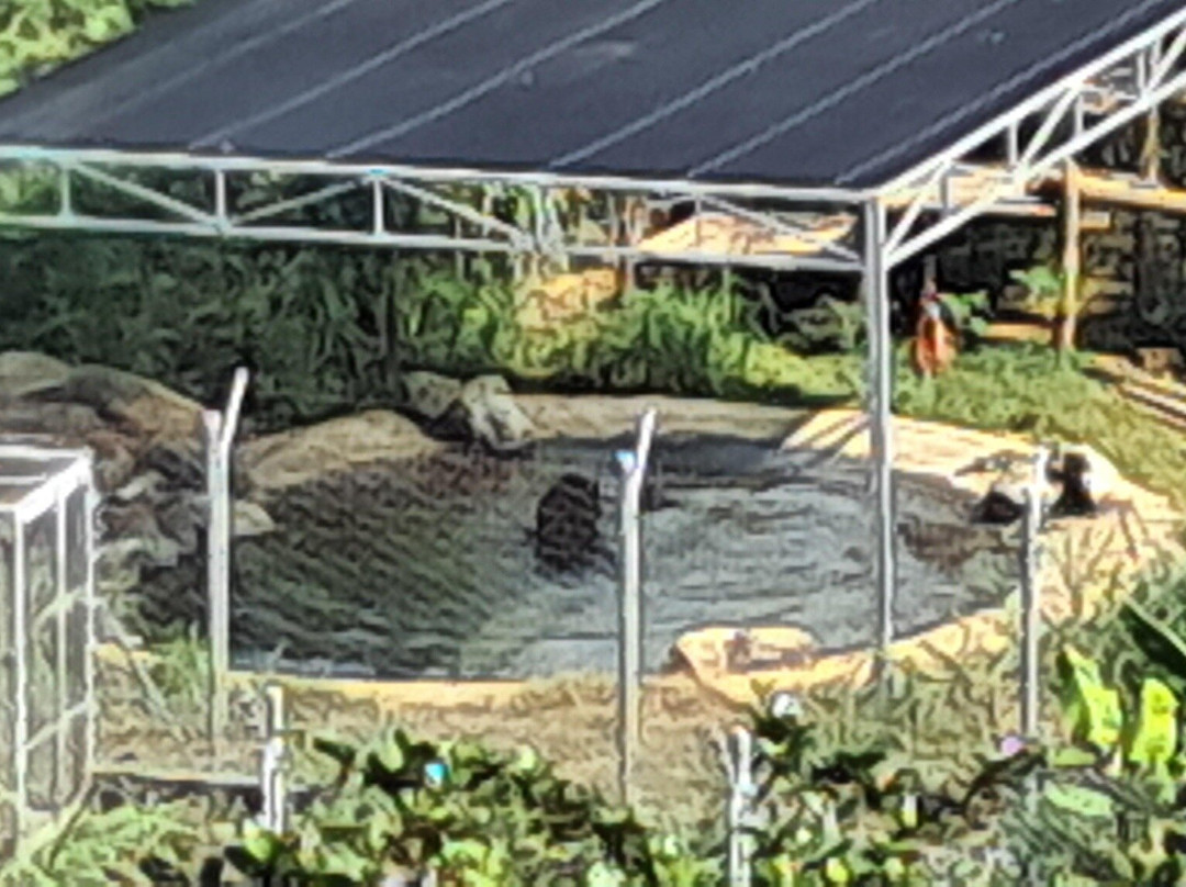 Bear Sanctuary Ninh Binh-宁平必去景点