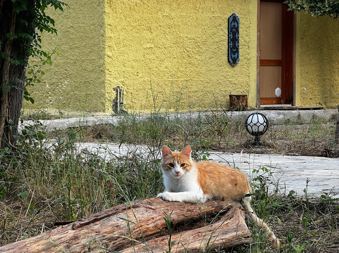 Eko Park Tekirova-Tekirova必去景点