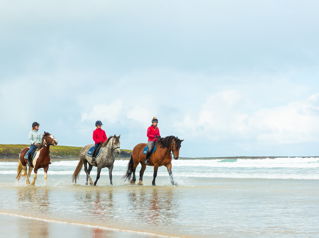 Island View Riding Stables-Grange必去景点