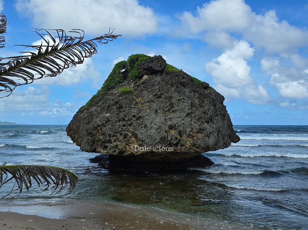 Bathsheba Beach-Bathsheba必去景点