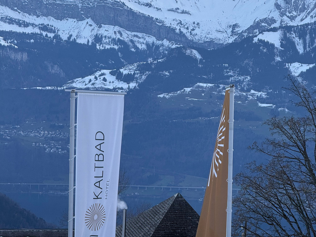 瑞吉卡尔巴德瑞士优质酒店主图