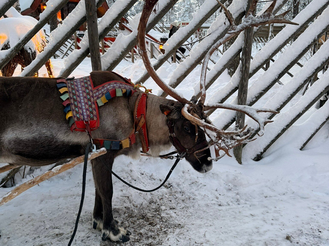 圣诞老人驯鹿雪橇之旅-罗瓦涅米必去景点