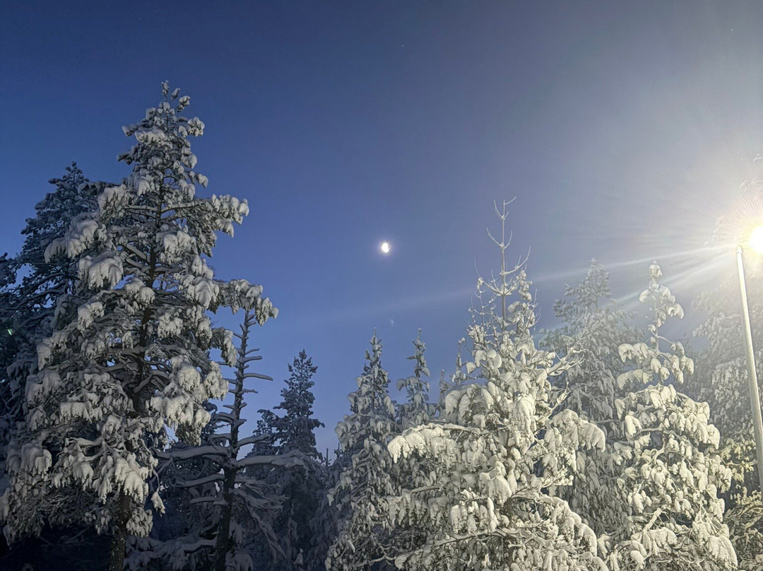 Ounasvaara Winter Trail-罗瓦涅米必去景点