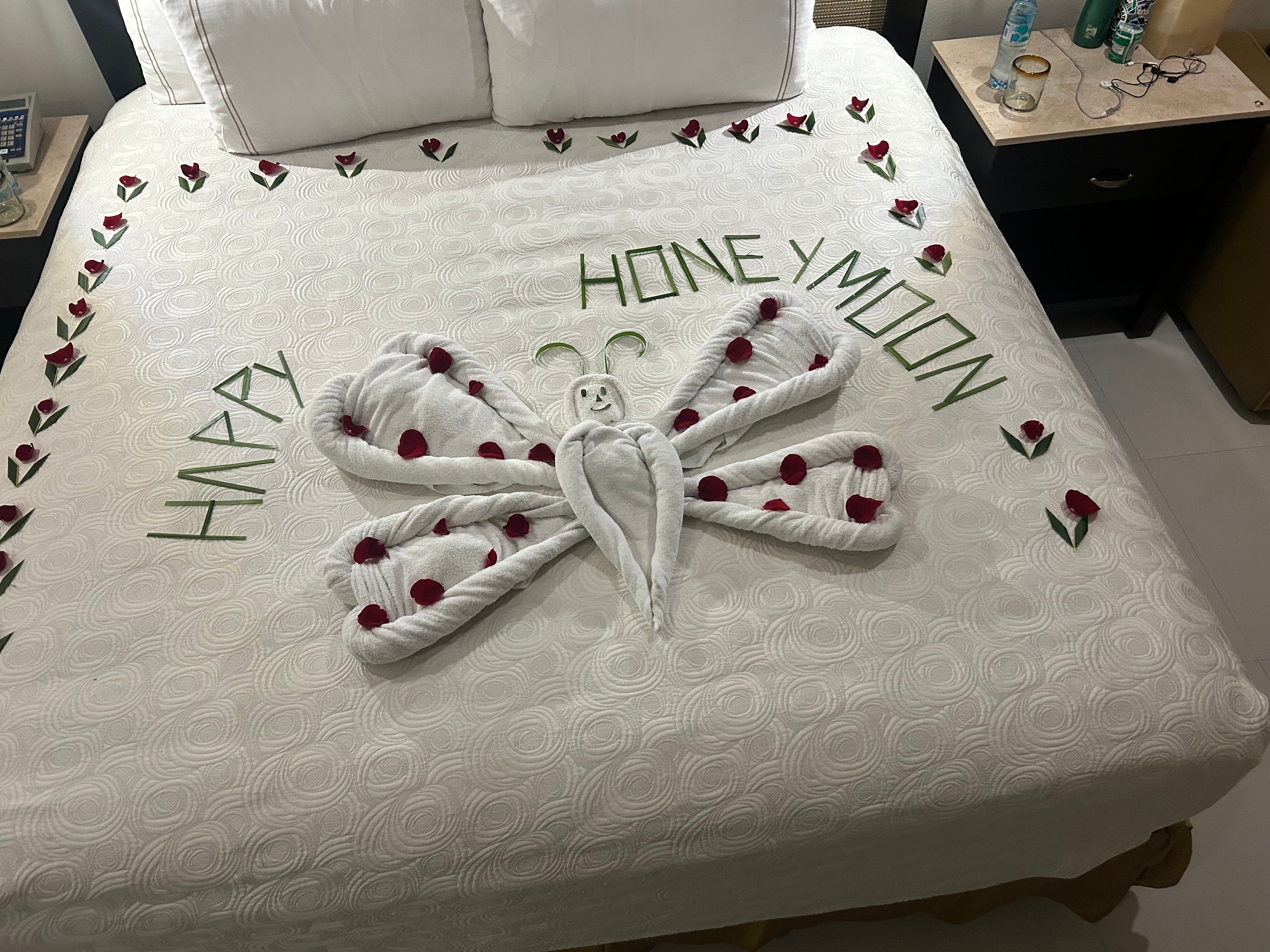 El Dorado Seaside Palms-官方