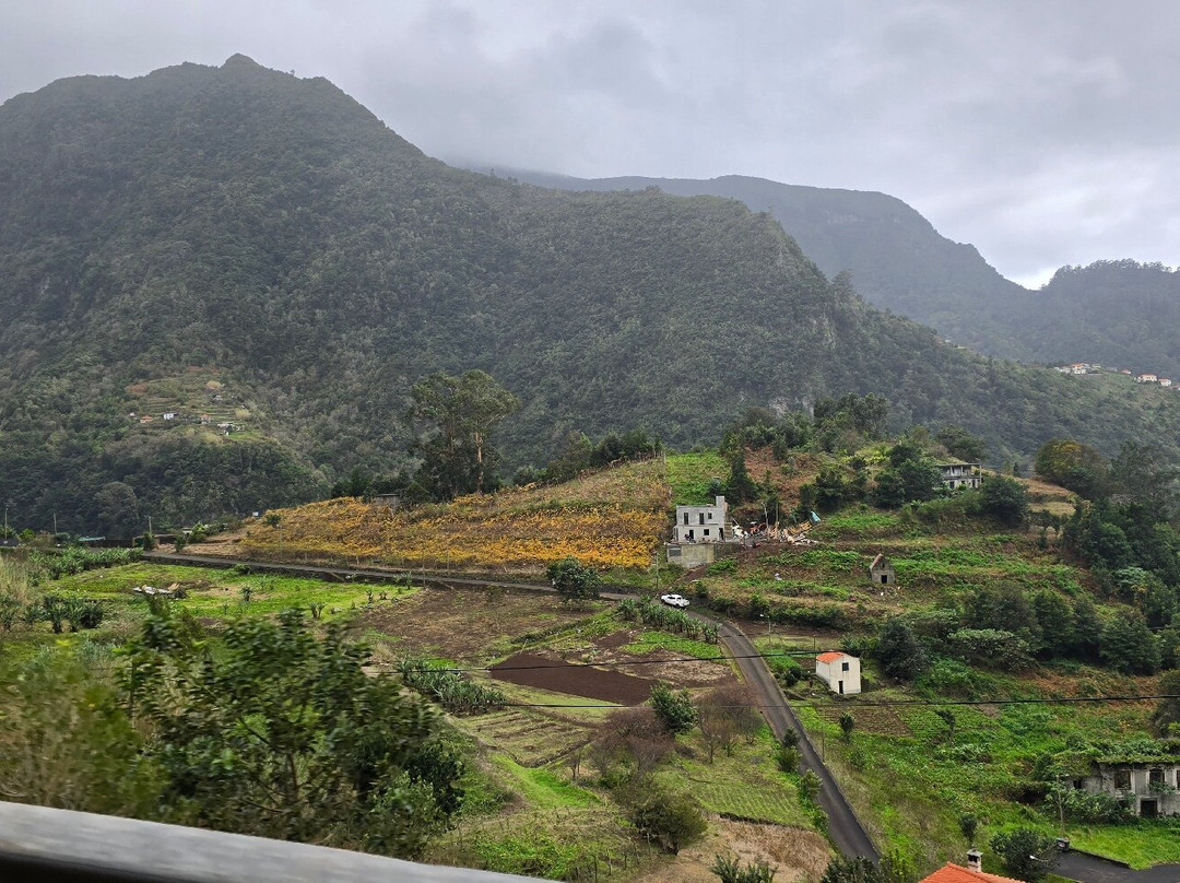 Banana Joe Tours Madeira-马德拉群岛必去景点