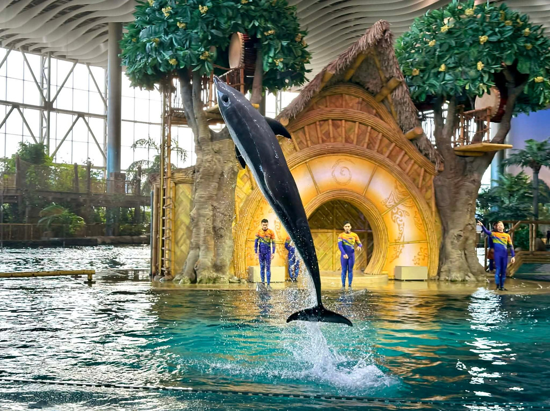 SeaWorld Yas Island Abu Dhabi-阿布扎比必去景点