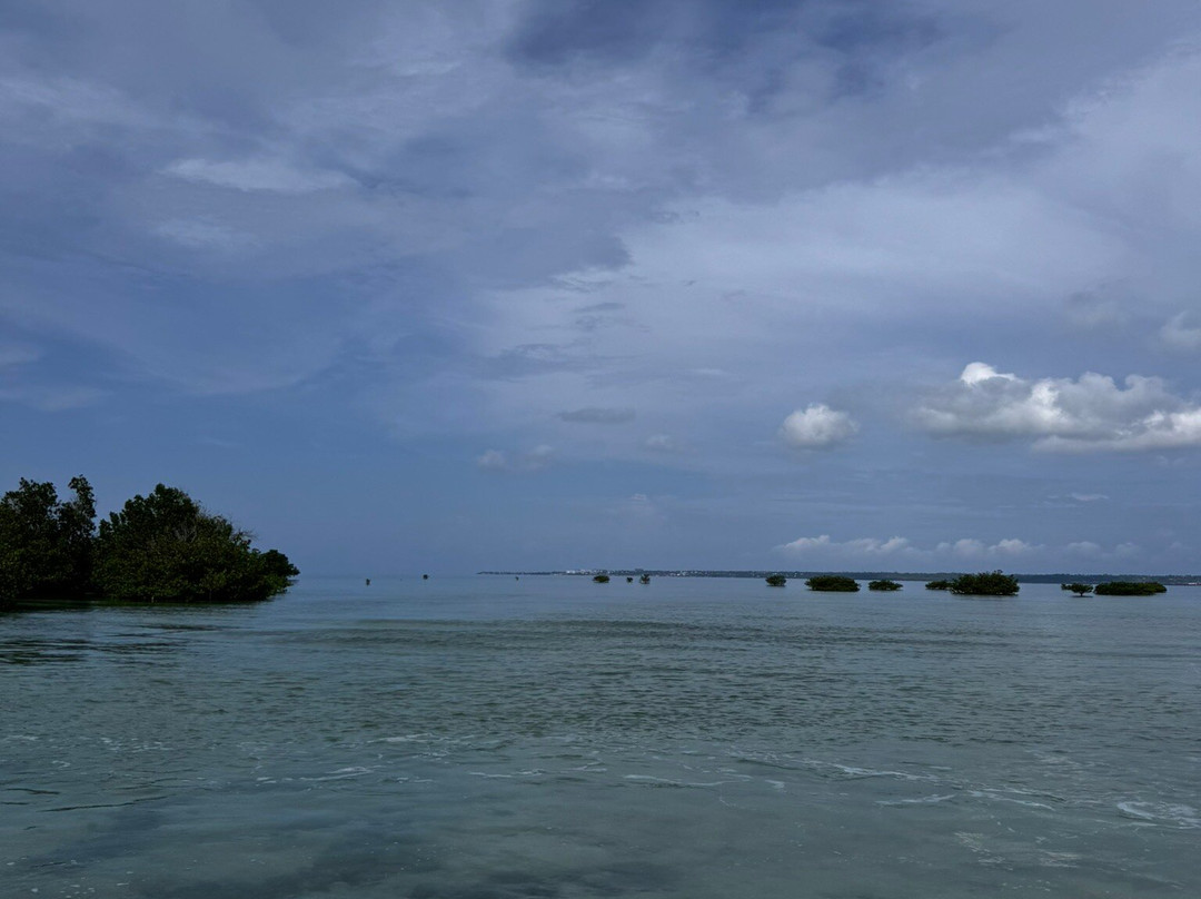 ScubaCaribe, Zanzibar-孥归必去景点