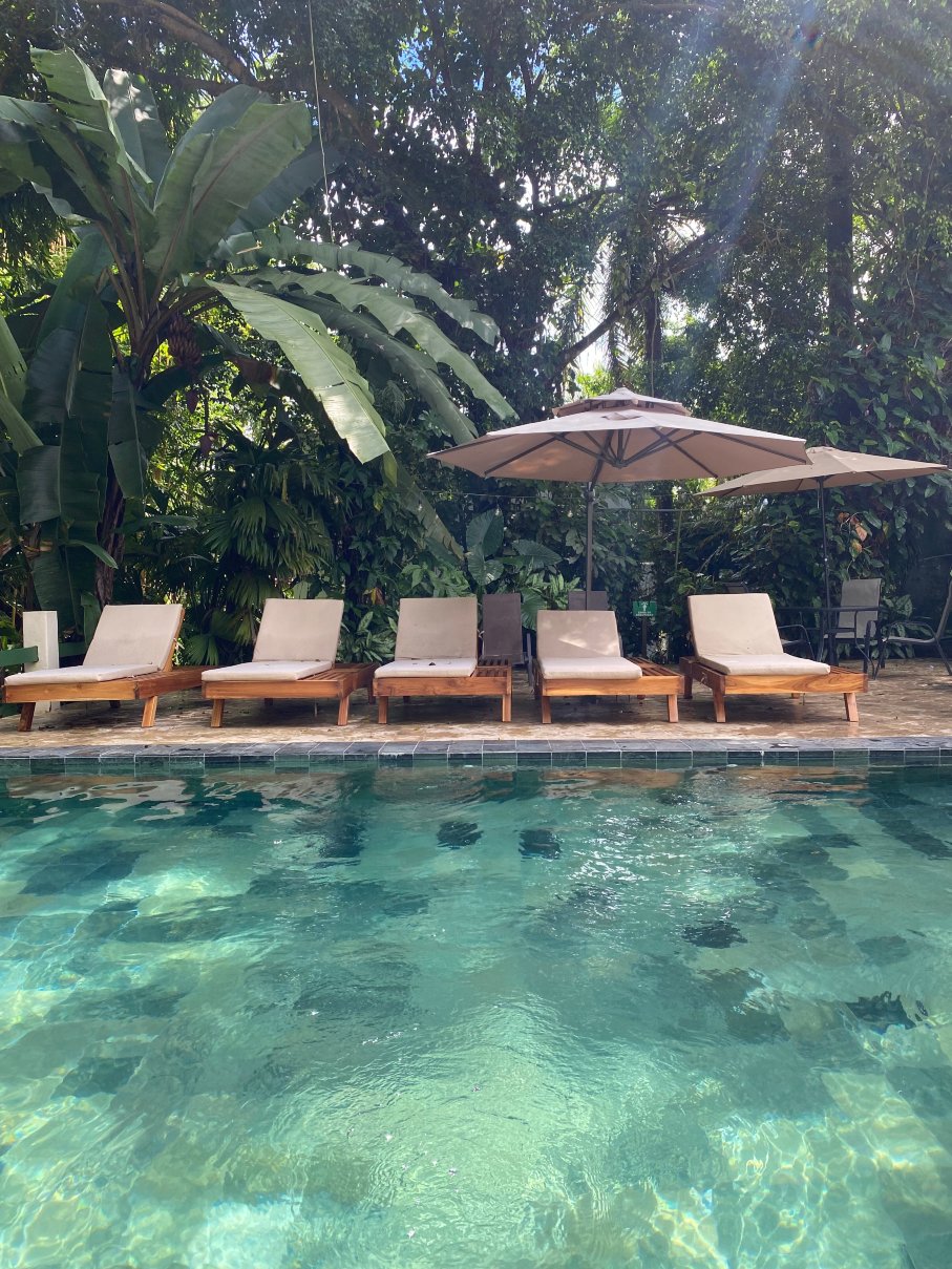 The Falls Resort Hotel-官方