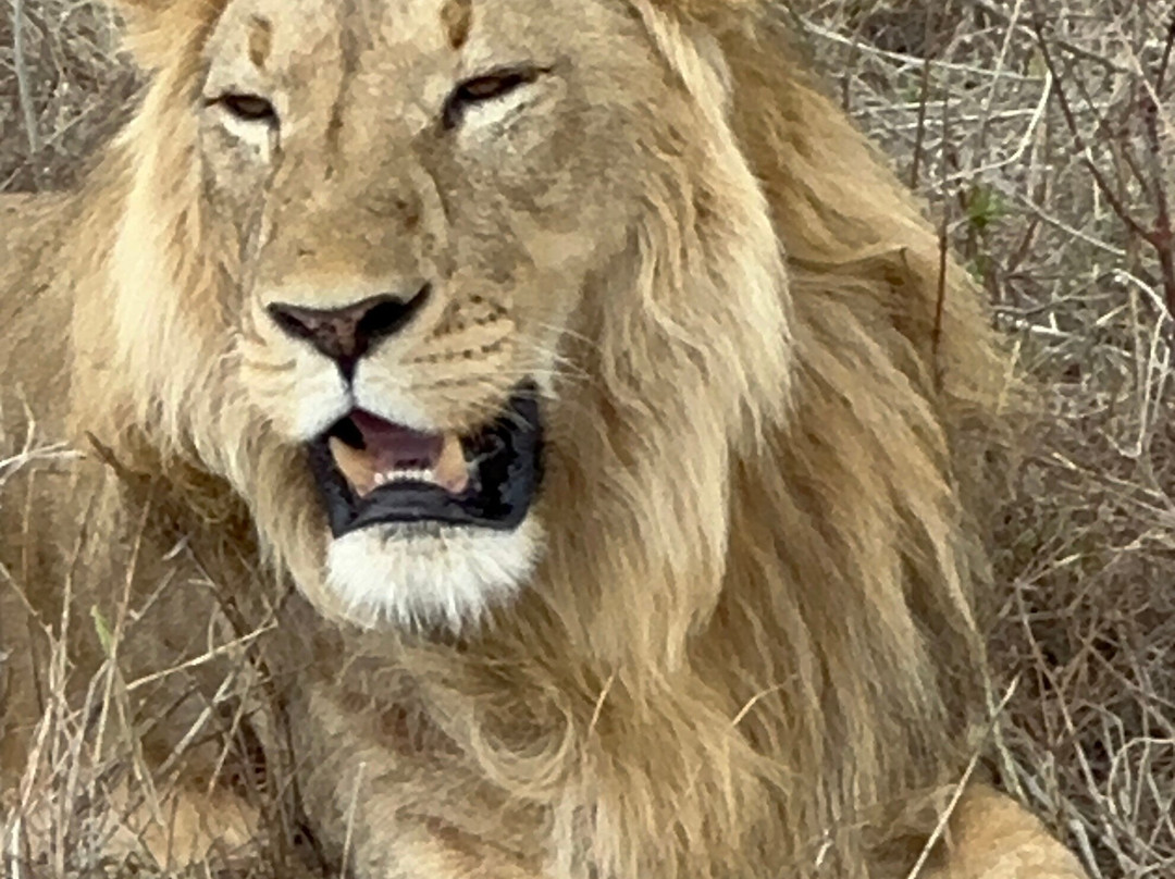 BADGER ADVENTURES TOURS & SAFARI-Arusha Chini必去景点