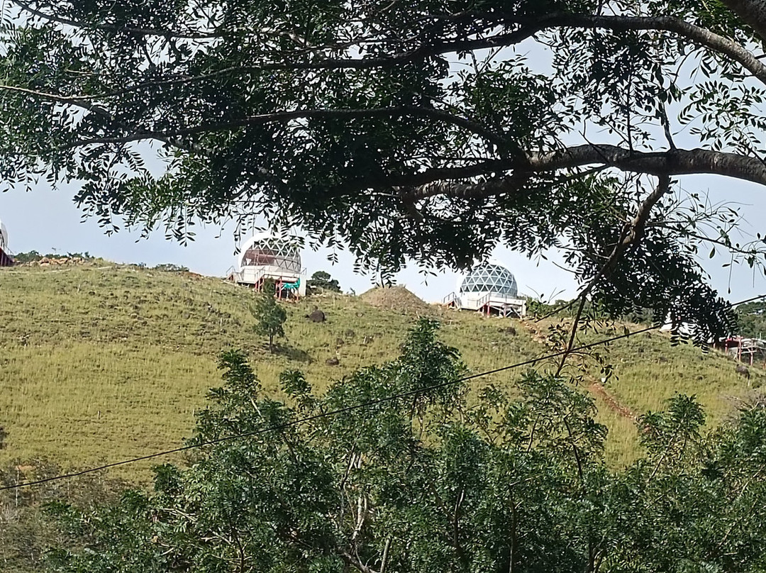 Café Monteverde Coffee Tour-圣埃伦娜必去景点