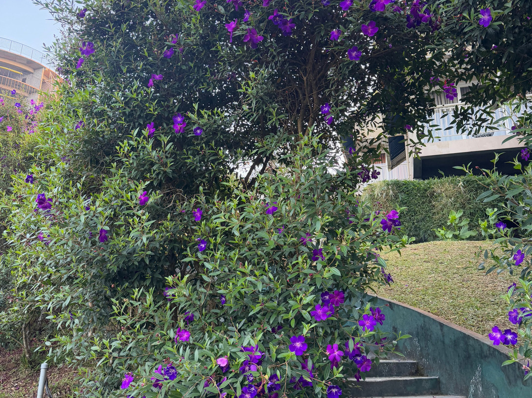 Aveda Mountains And Mist - Munnar主图