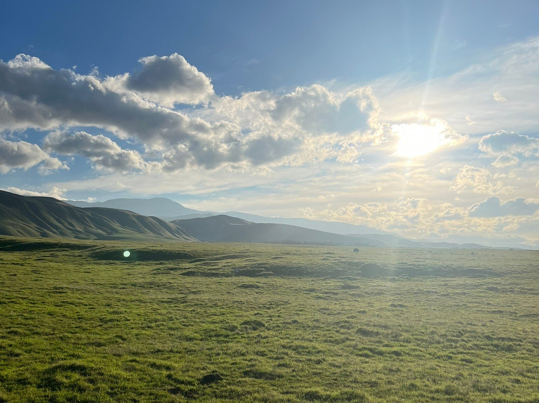 Wind Wolves Preserve-贝克斯菲尔德必去景点