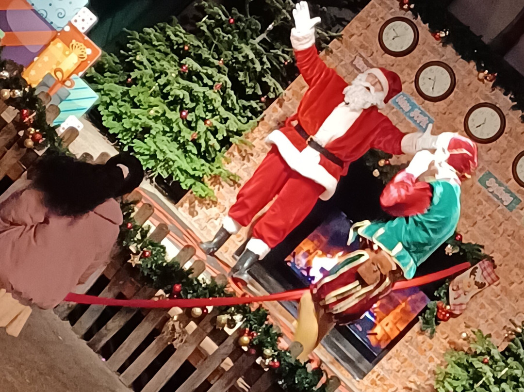 Lee Valley Animal Adventure Park-沃尔萨姆阿比必去景点