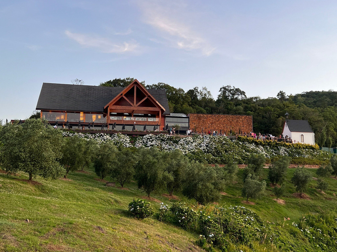 Parque Olivas de Gramado-格拉玛多必去景点