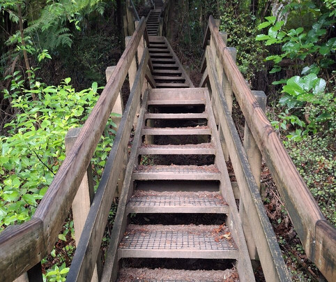Hakarimata Walkway-Ngaruawahia必去景点