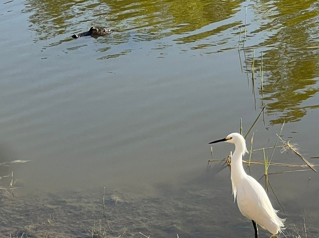 TownePlace Suites Fort Myers Estero主图