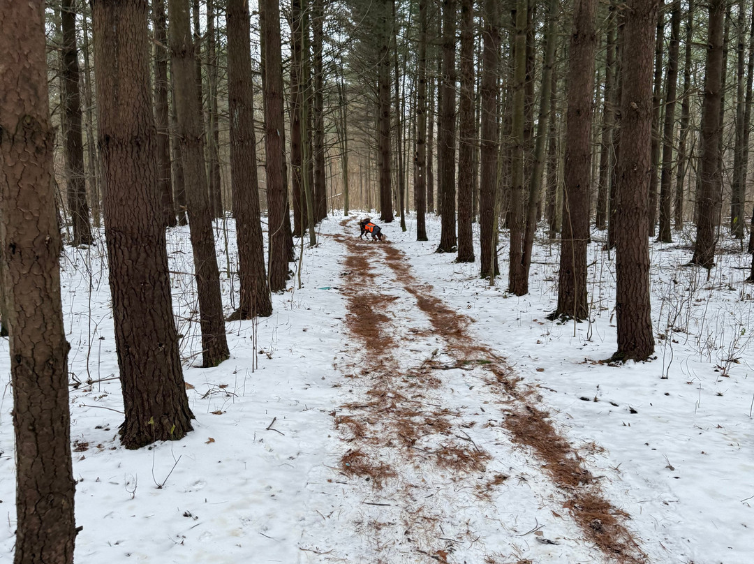 Stevensville Conservation Area-Stevensville必去景点