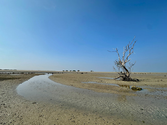 Narara Marine National Park-Devbhumi Dwarka District必去景点