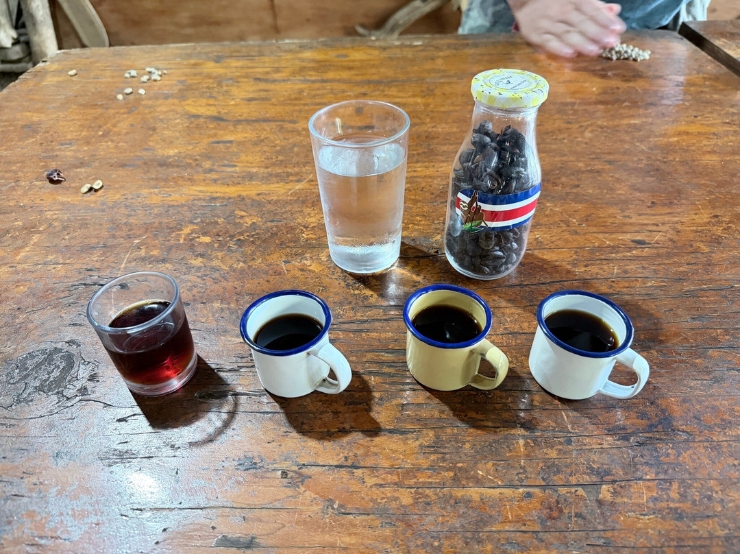 El Toledo Coffee Tour-Atenas必去景点