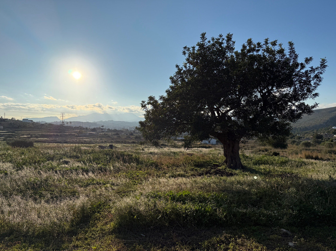 Bodega Montesanco Teulada-Teulada必去景点