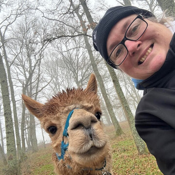 Petlake Alpacas of the New Forest-Totton必去景点