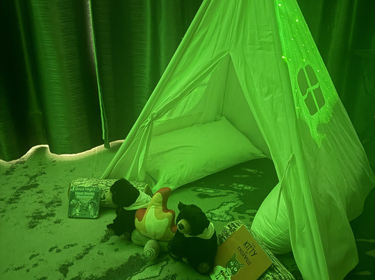 The Tennessean主图