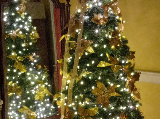 Belle Grove Plantation Bed and Breakfast主图