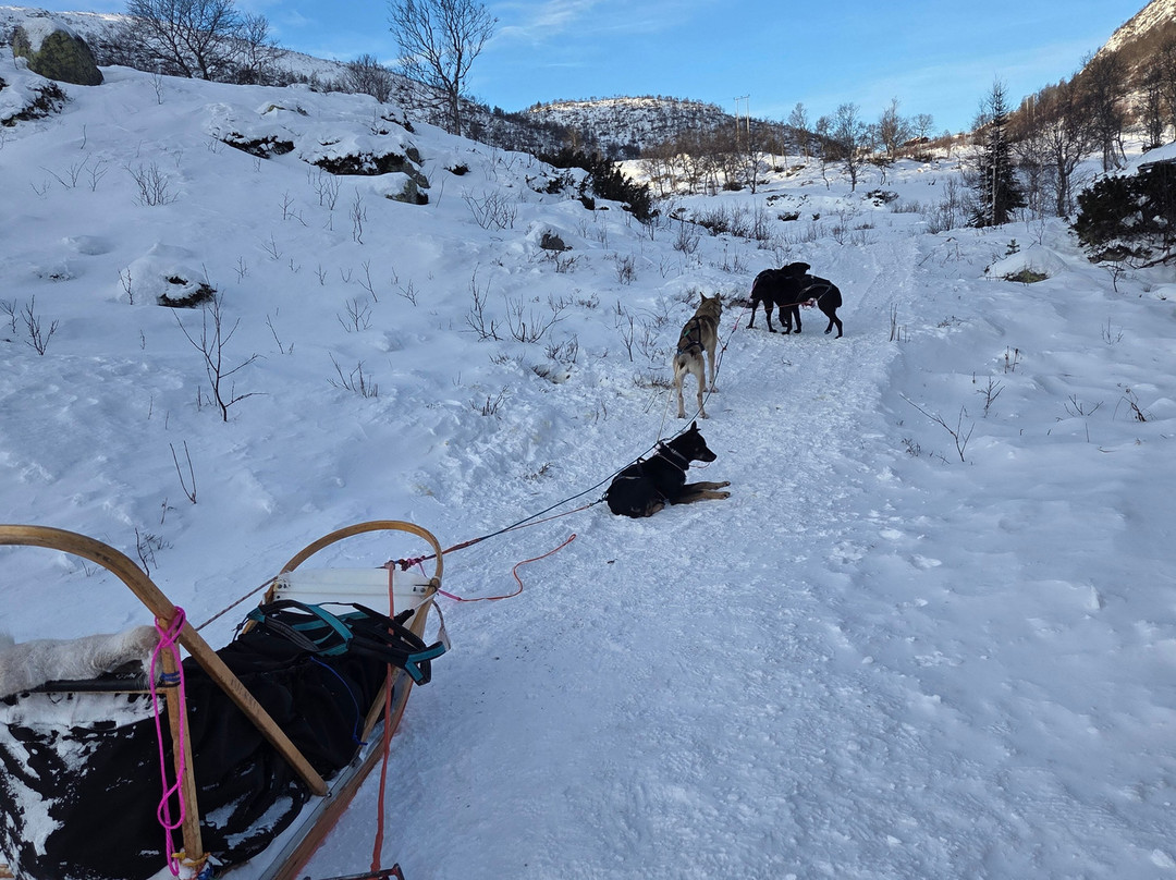 Haukeli Husky-Rauland必去景点