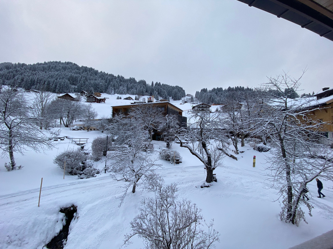 Das Naturhotel Chesa Valisa主图