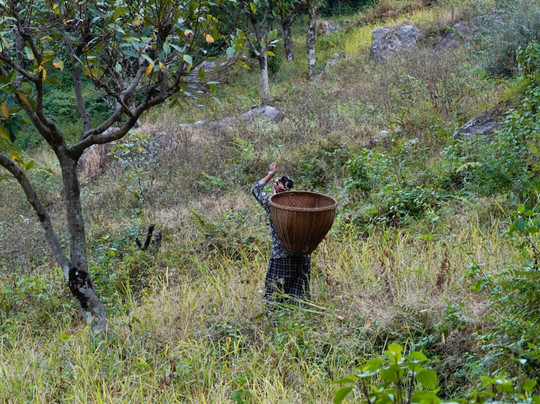 Nepal Nirvana Trails-加德满都必去景点