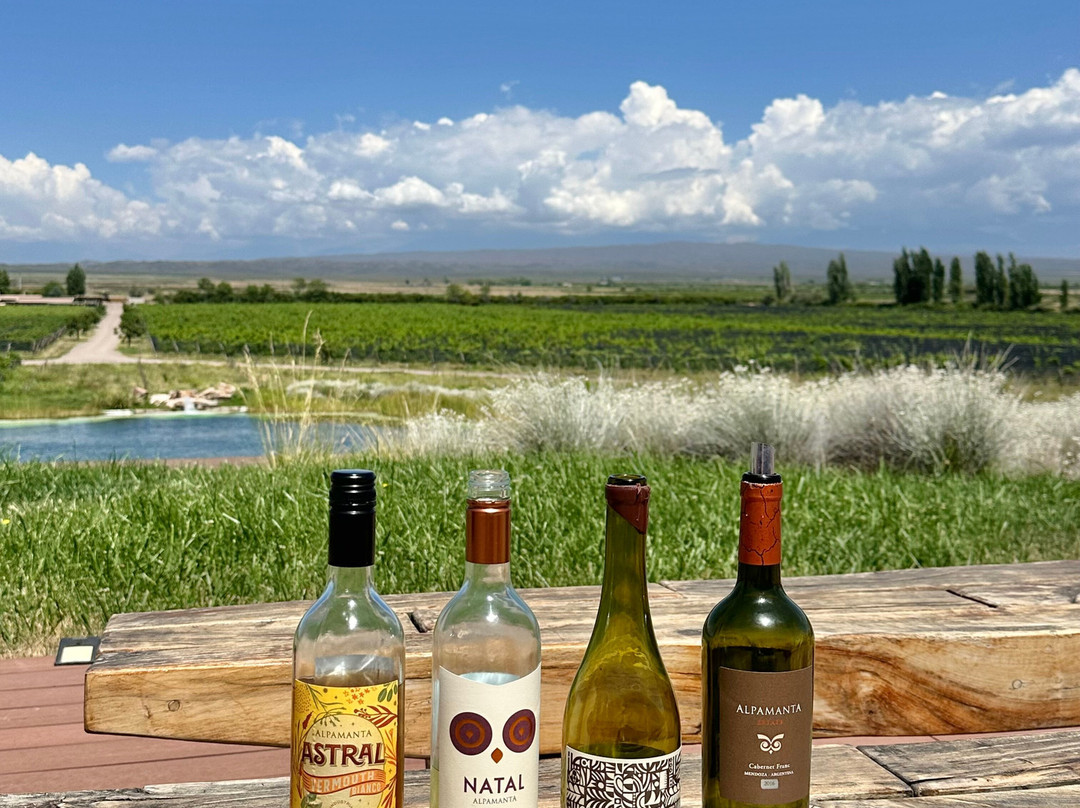 Bodega Alpamanta-路冉得库约必去景点