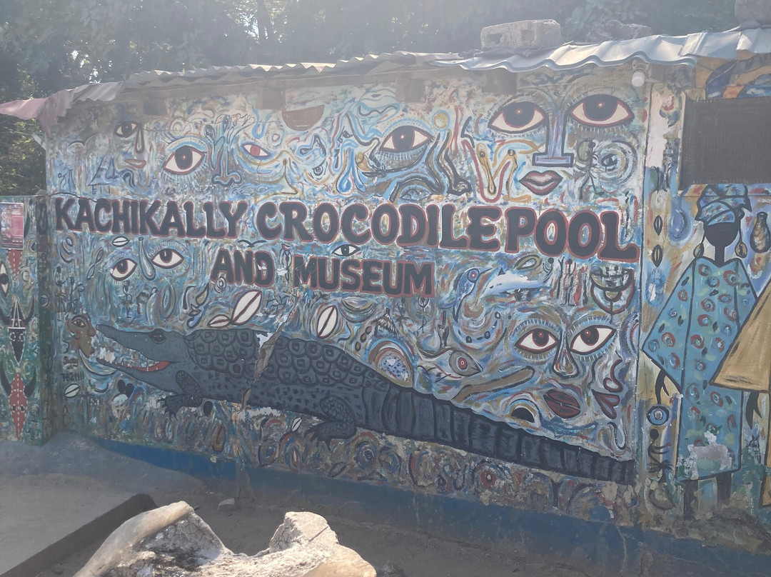 Tour Gambia-Brusubi必去景点