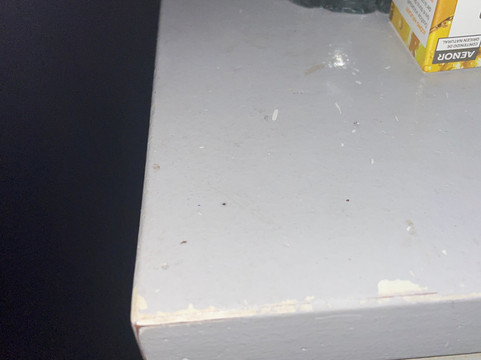 中央青年旅舍主图