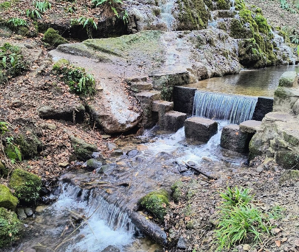 Hackfall Wood-里彭必去景点
