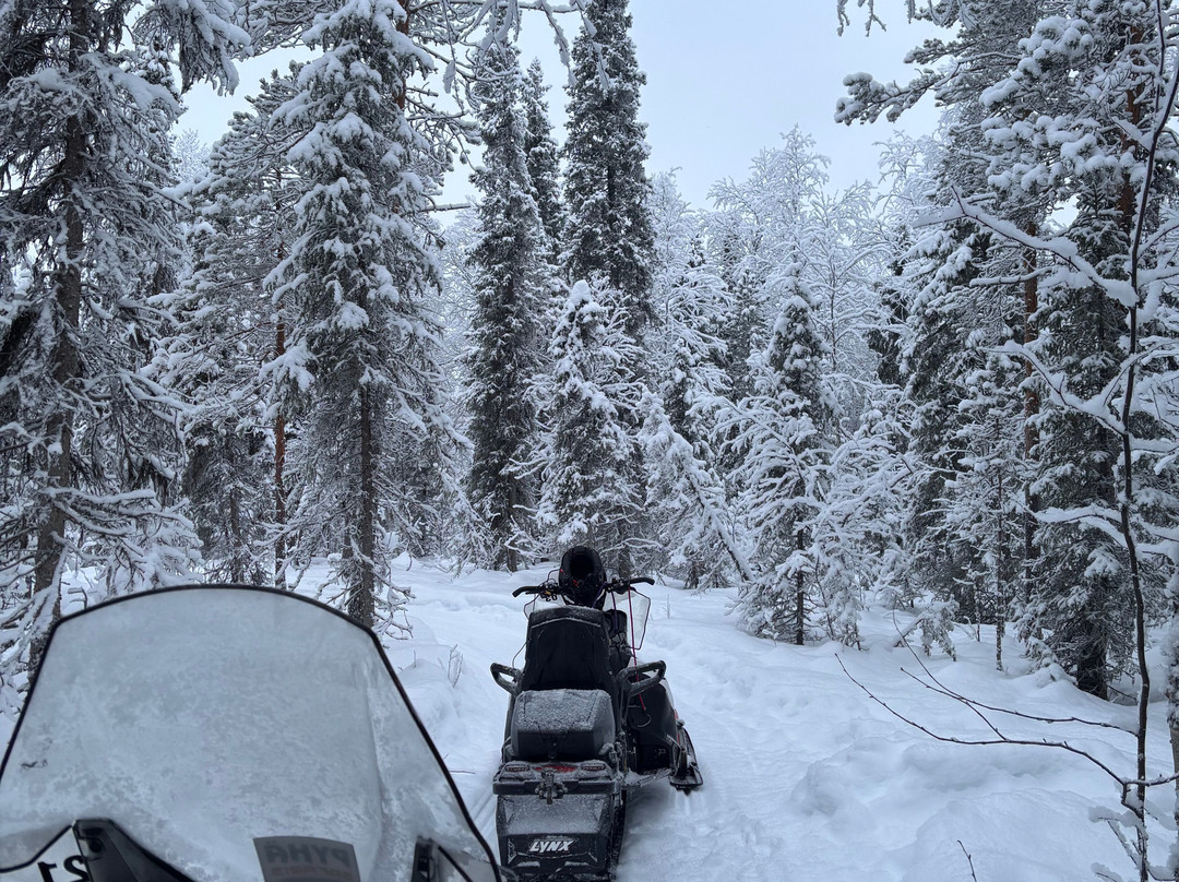 Pyhä Safaris-Pyhatunturi必去景点