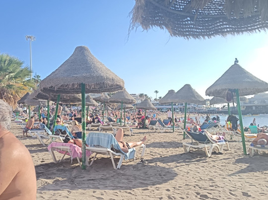 Playa de la Pinta-圣克鲁斯-德特内里费必去景点