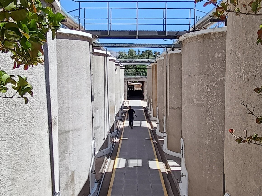 Destileria Pisco Mistral-Pisco Elqui必去景点