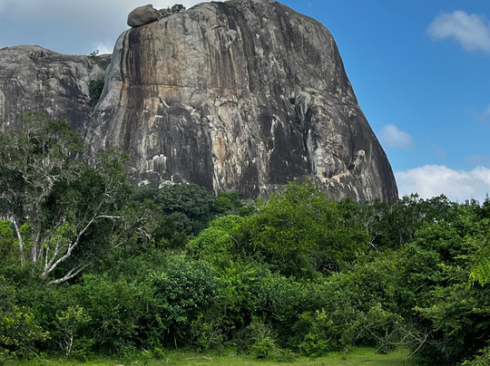 Ruwan Yala Jeep Safari-Debarawewa必去景点