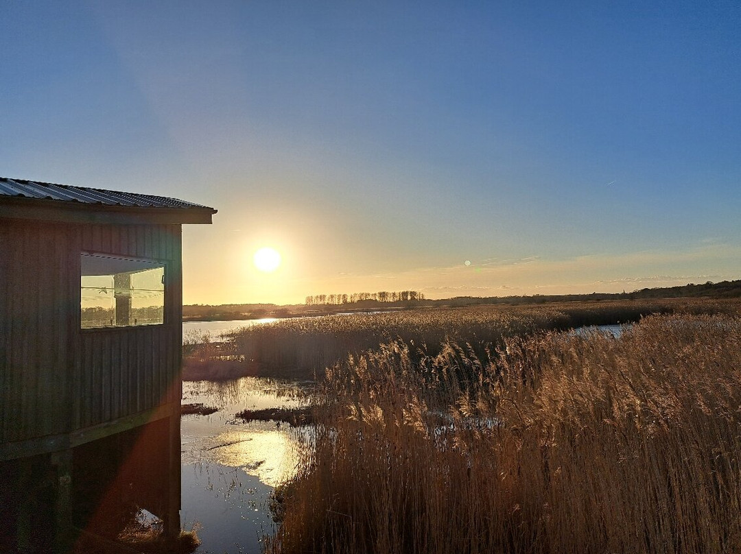 RSPB Minsmere-Westleton必去景点