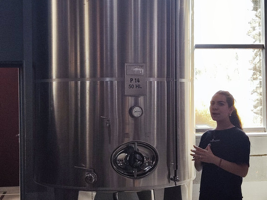 Vistandes Winery-Maipu必去景点