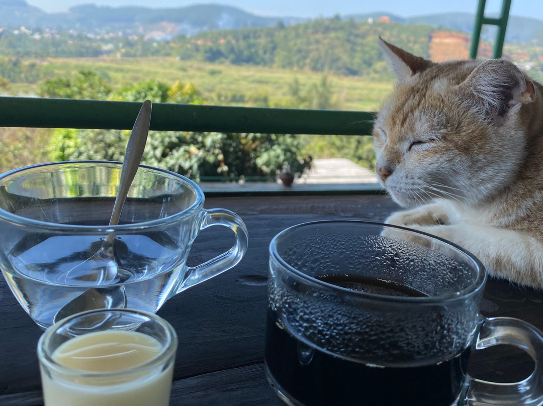 Mr. Peace's Tour Dalat-大勒必去景点