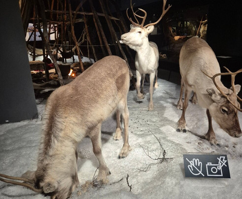 北极中心-罗瓦涅米必去景点